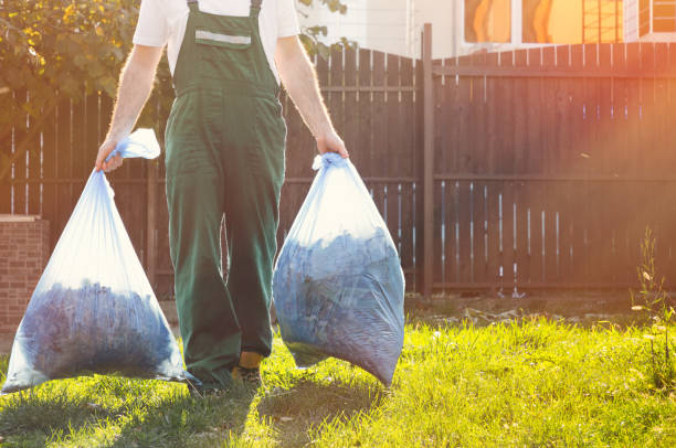Best Basement Cleanout Services  in Waterloo, IL