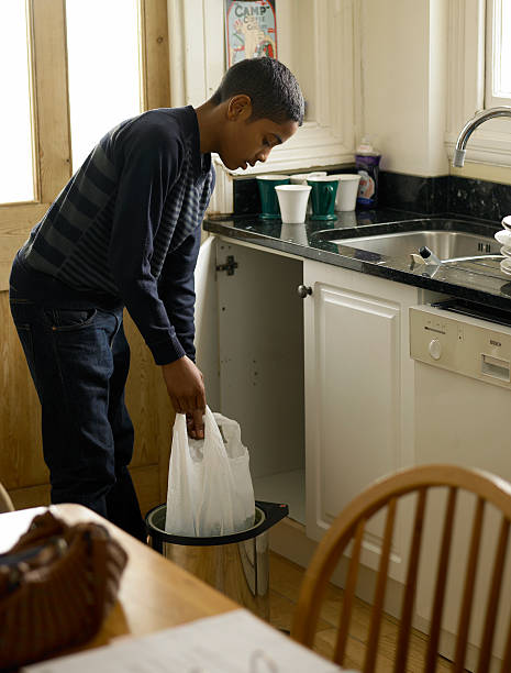 Best Construction Debris Removal  in Waterloo, IL